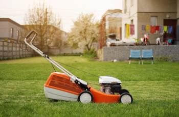 Seasonal Lawn Maintenance: Your Year-Round Guide
